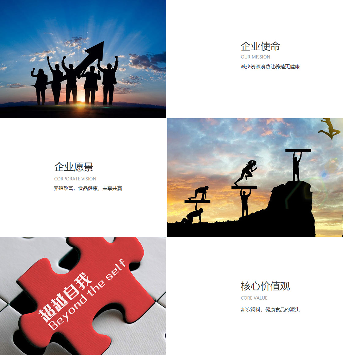 易倍emc网址(图1)